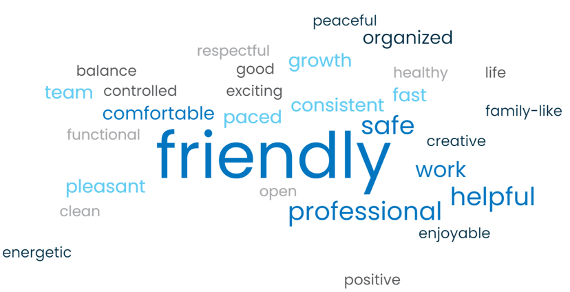 word-cloud_Skills colors_cropped